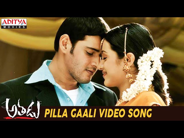 Pilla Gaali Song Lyrics In Telugu