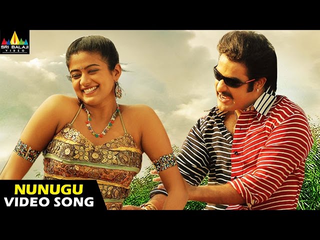 Nunugu Misalodua Song Lyrics In Telugu