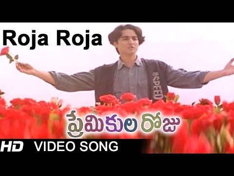 Roja Roja Full Song Lyrics In Telugu